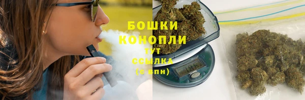 гидра Богородск