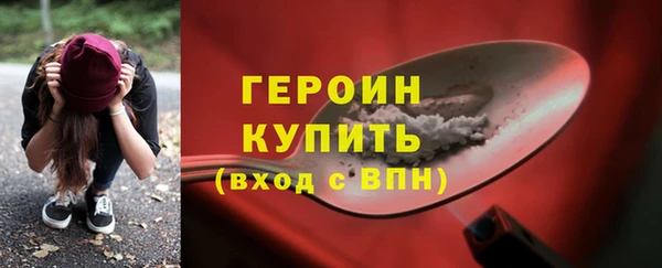 гидра Богородск