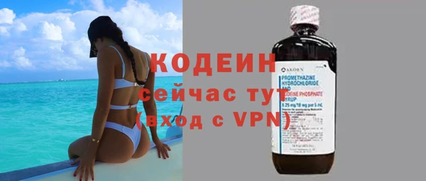 гидра Богородск