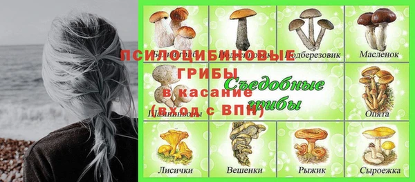 MESCALINE Богданович
