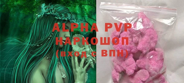 гидра Богородск