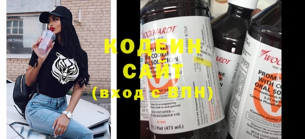 гидра Богородск