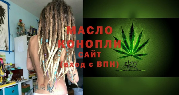 гидра Богородск